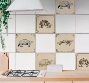 Sköldpaddor beige bakgrund plattor kakel överföring - Tenstickers