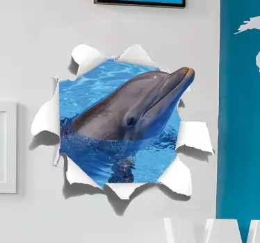 Dolphin visuella effekter vägg klistermärke - Tenstickers