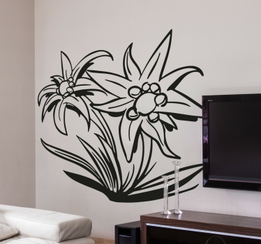 Edelweiss blomma vägg klistermärke - Tenstickers
