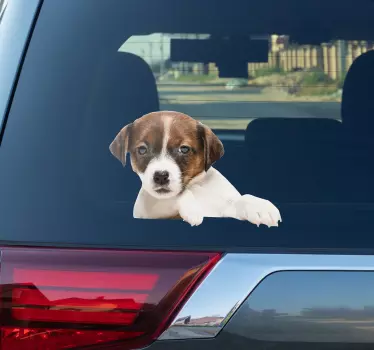 Hunden tittar in Väggklistermärken  - Tenstickers