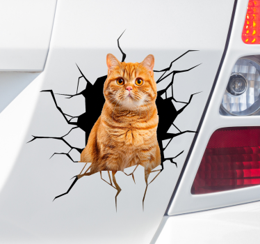 Katt i hål bil klistermärke - Tenstickers