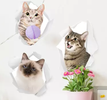 Kattungar djur vägg klistermärke - Tenstickers