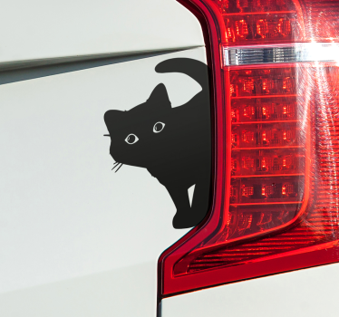 Nyfiken katt bil klistermärke - Tenstickers