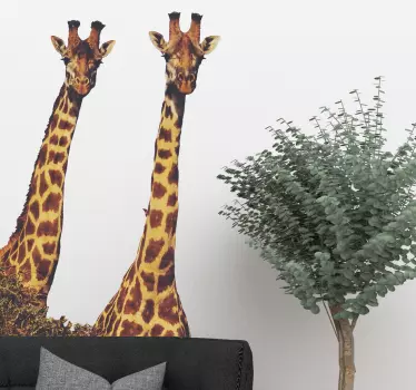 Realistiska giraffer vilda djur klistermärke - Tenstickers