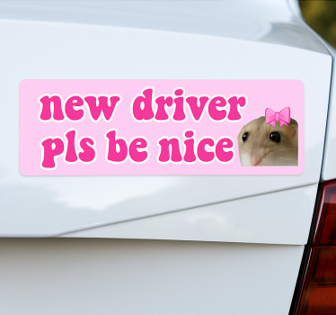 Bil klistermärke ny förare var snäll - Tenstickers