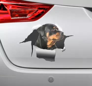 Rottweiller hål klistermärke husdjur dekaler - Tenstickers