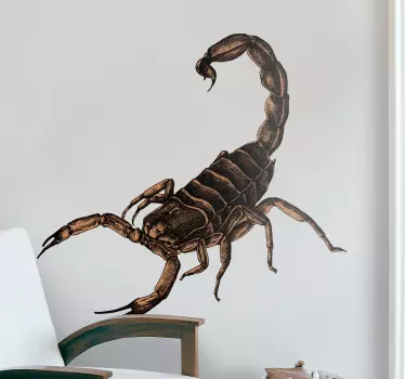 Skorpion illustration insekt vägg klistermärke - Tenstickers