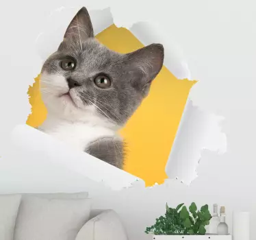 Väggdekor för katt 3d - Tenstickers