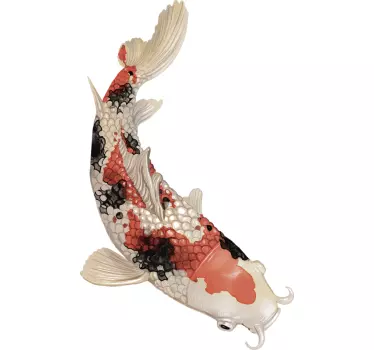 Koi par skjortor - Tenstickers