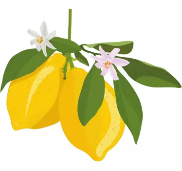 Citron fruktträd söt t-shirt - Tenstickers