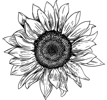 Svart solros t-shirt - Tenstickers