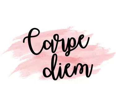 Carme diem med rosa aquarella t-shirt - Tenstickers