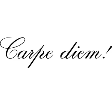 Carpe diem delikat tunn bokstäver t-shirt - Tenstickers