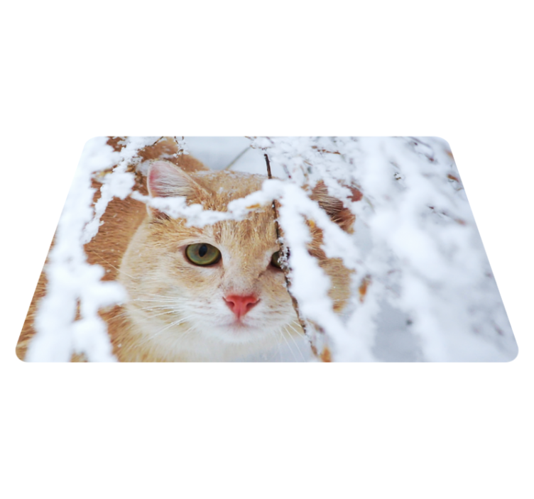 Vinylmatta djur katt med stalaktit - Tenstickers