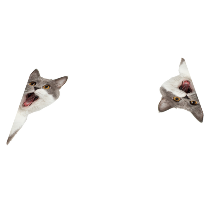 Vinylmatta djur katt som spionerar på vit bakgrund - Tenstickers