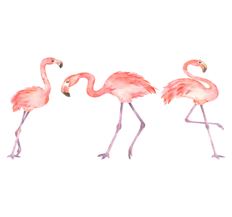 Vinylmatta djur elegant flamingo trio - Tenstickers