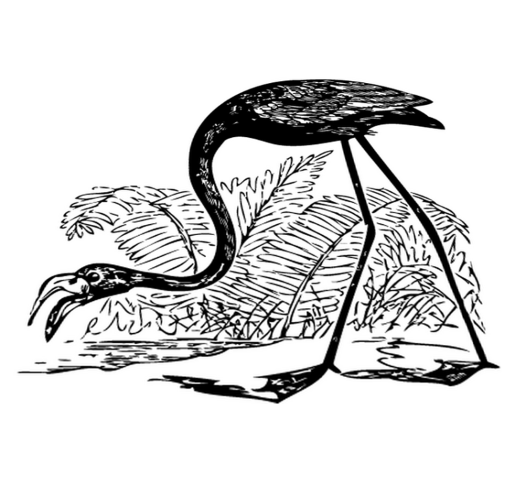 Vinylmatta djur flamingo med ormbunkar - Tenstickers