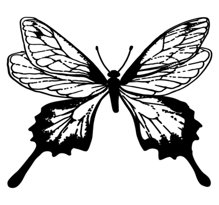 Vinylmatta djur graceful butterfly outline - Tenstickers