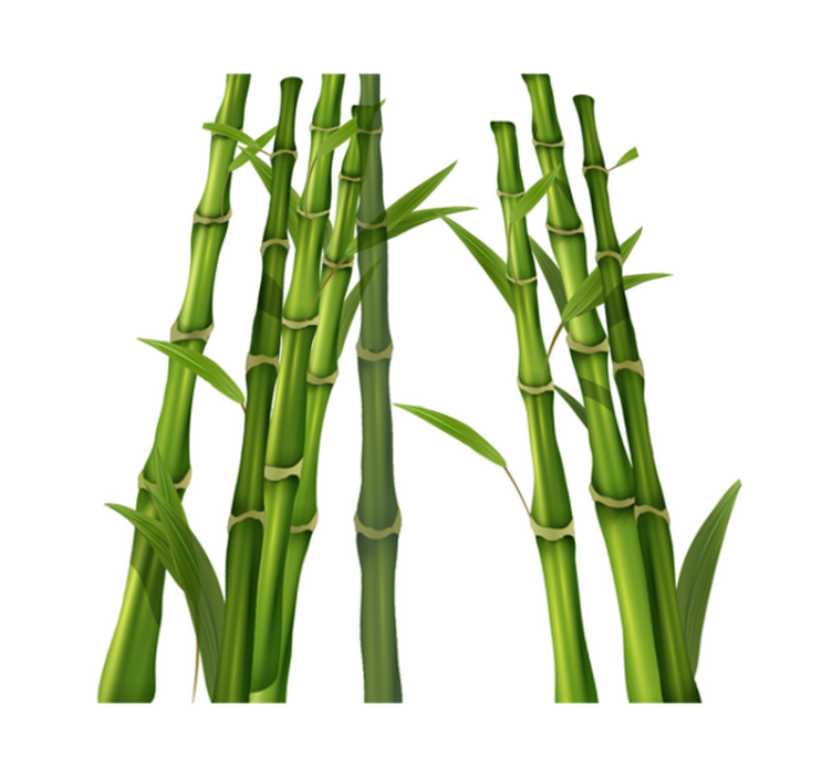 Vinylmatta badrum bambumönster - Tenstickers