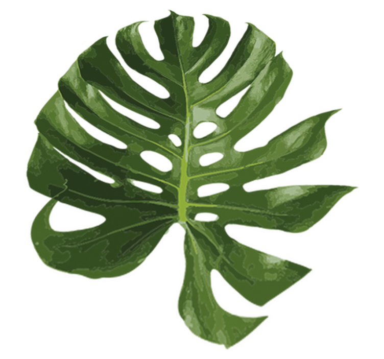 Vinylmatta blommor och växter monstera blad - Tenstickers