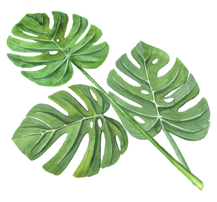 Vinylmatta blommor och växter monstera akvarellblad - Tenstickers