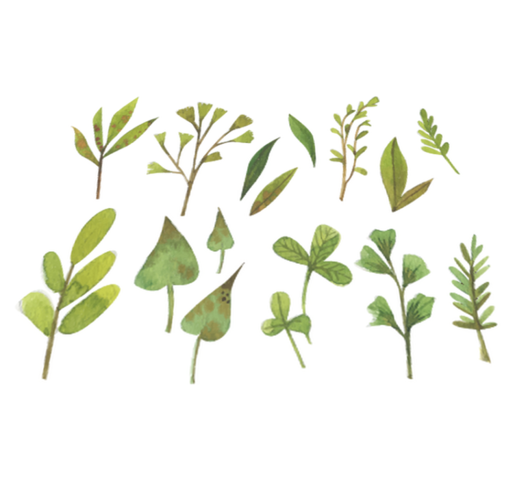 Vinylmatta blommor och växter aquarella små blad - Tenstickers