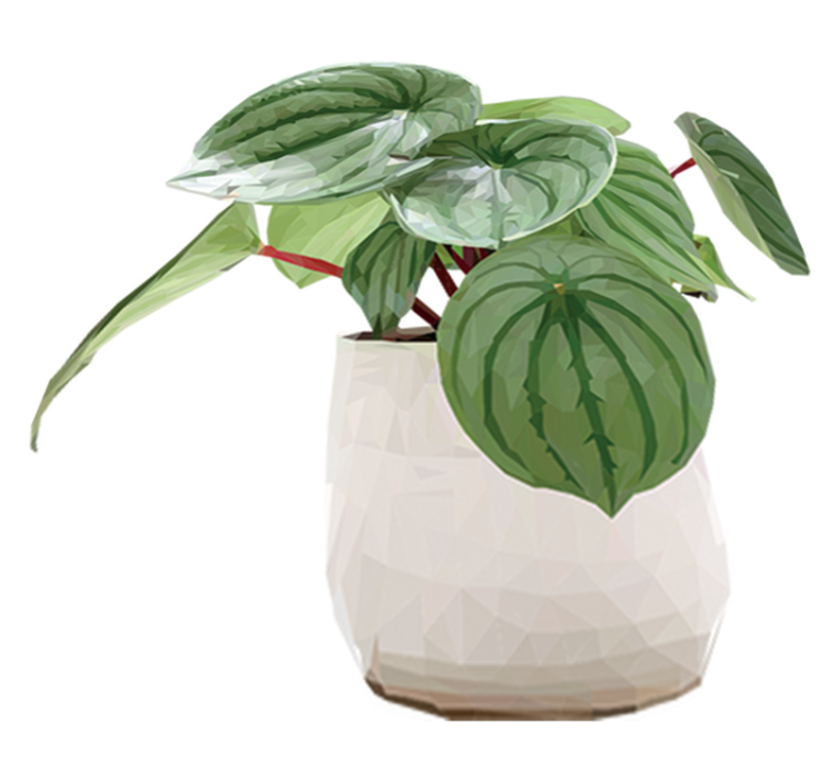 Vinylmatta blommor och växter enkel krukväxt - Tenstickers