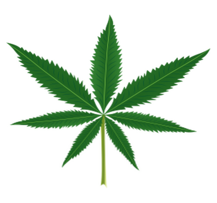 Vinylmatta blommor och växter marihuanablad - Tenstickers