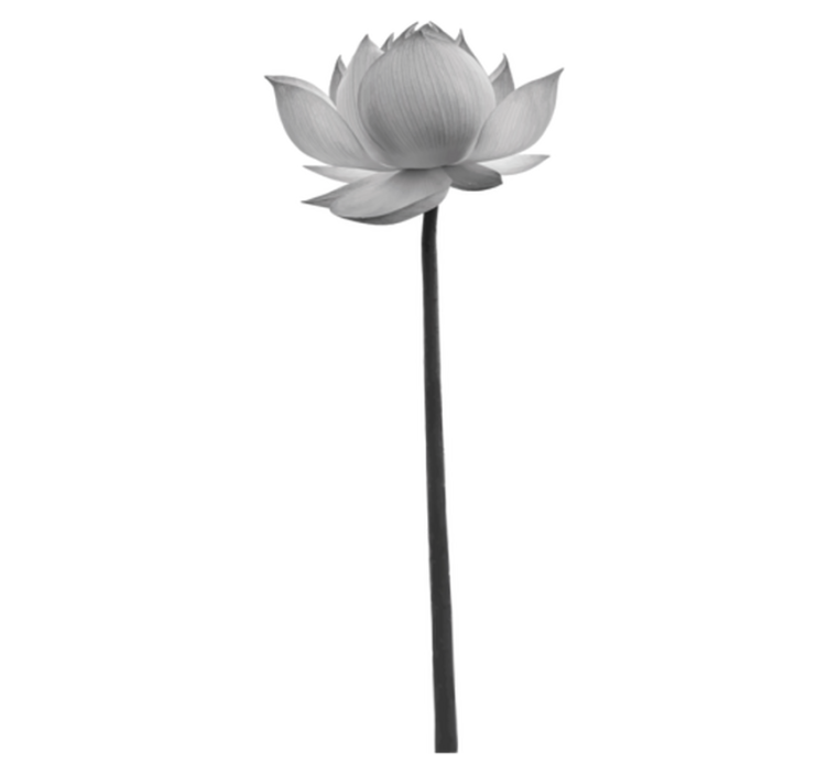 Vinylmatta sovrum lotus ensam blomma - Tenstickers
