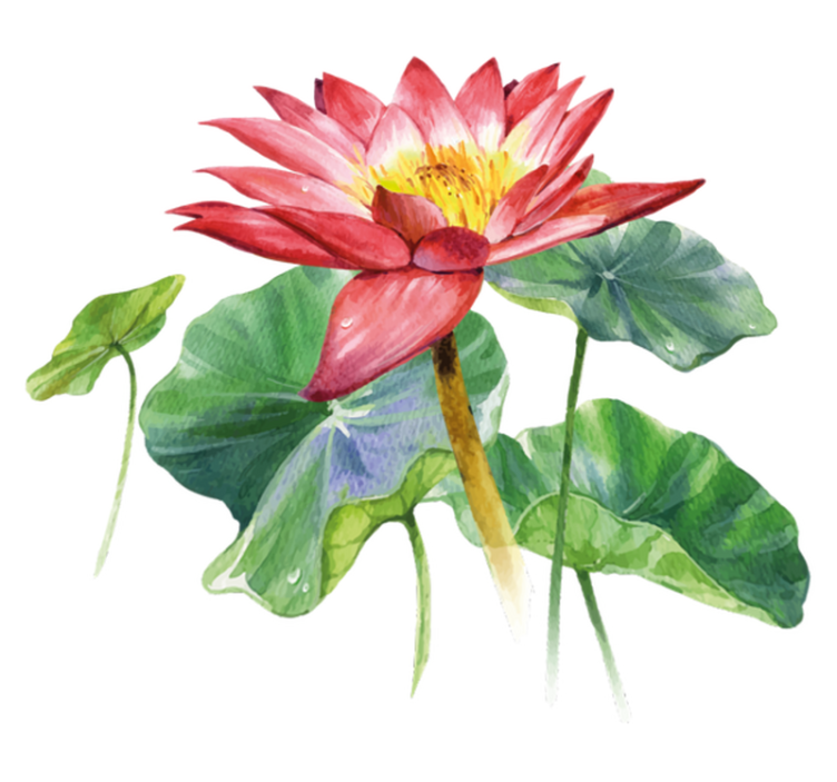 Vinylmatta sovrum lotus akvarell illusion - Tenstickers