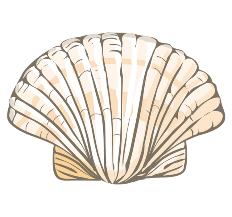 Stor snäckskalformad vinylmatta - Tenstickers