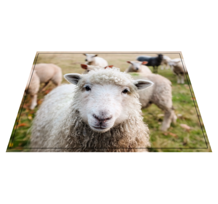 Djur får djur matta dekoration - Tenstickers