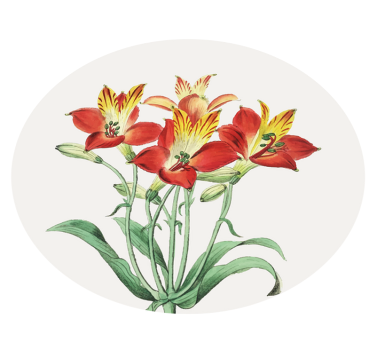 Vinylmatta blommor och växter livliga röda blommor - Tenstickers