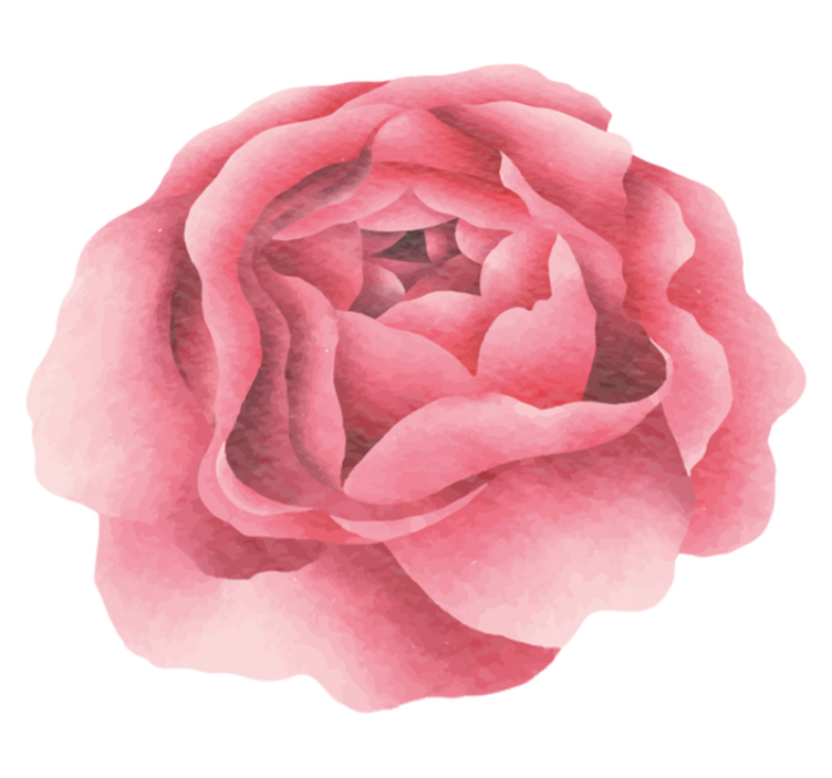 Rodnande rosa blomning Vinylmatta blommor och växter - Tenstickers