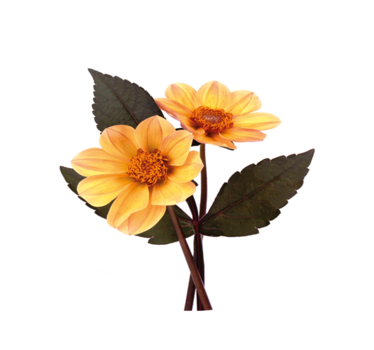 Gula blommor och svarta blad cirkulär matta - Tenstickers