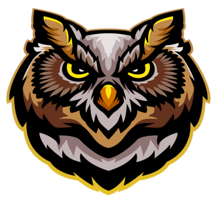 Uggla ansikte konst Vinylmatta djur - Tenstickers