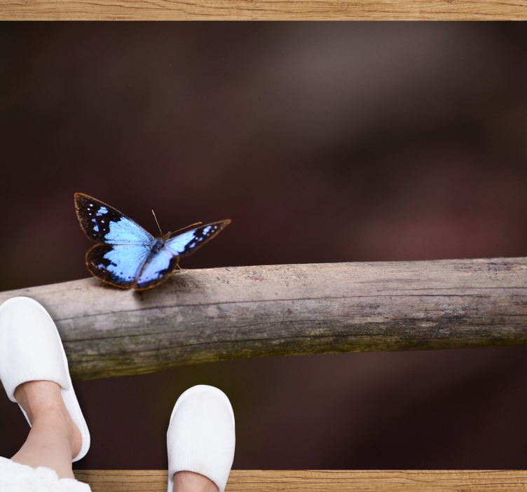 Djur blå fjäril djur matta - Tenstickers