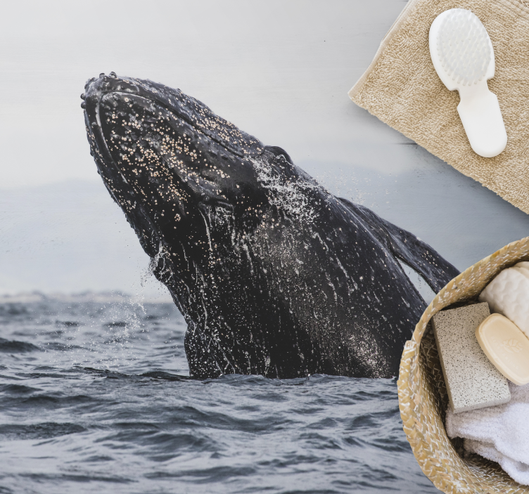 Djurval i havsdjurmattan - Tenstickers