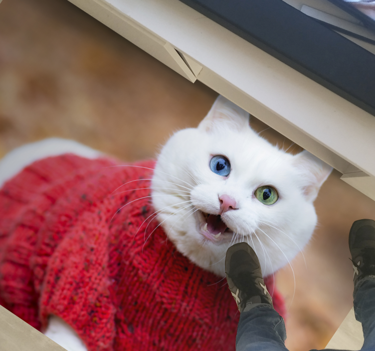 Lekfull katttröja Vinylmatta djur - Tenstickers