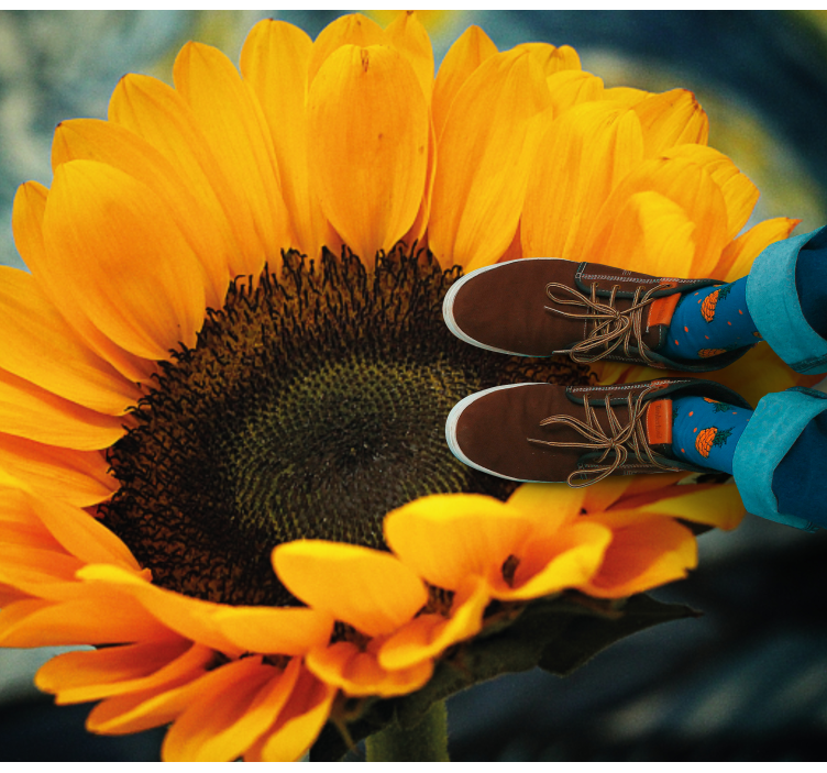 Solros blommande ljus Vinylmatta blommor och växter - Tenstickers