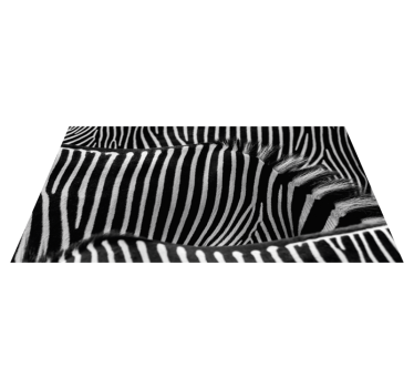 Zebra hud djurtryck vinylmatta - Tenstickers