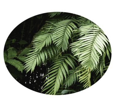 Djungelväxter blommamatta - Tenstickers
