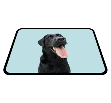 Le hund djur matta - Tenstickers