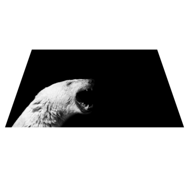 Isbjörnsprofil Vinylmatta djur - Tenstickers