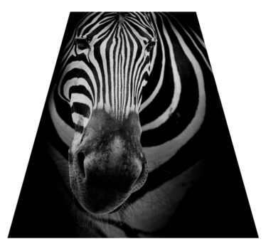 Zebra ansikte djur tryck vinyl matta - Tenstickers