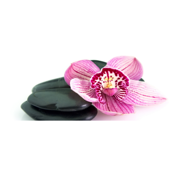 Rosa orkidéer närbild blommamatta - Tenstickers