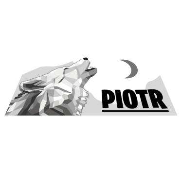 Geometrisk varg Vinylmatta namn - Tenstickers
