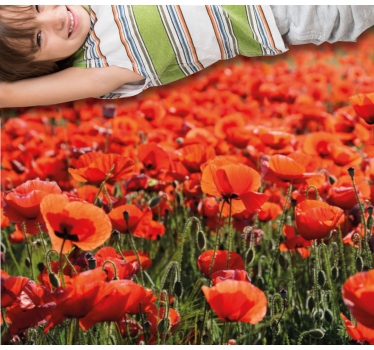 Fält av vallmo blommor blomma matta - Tenstickers
