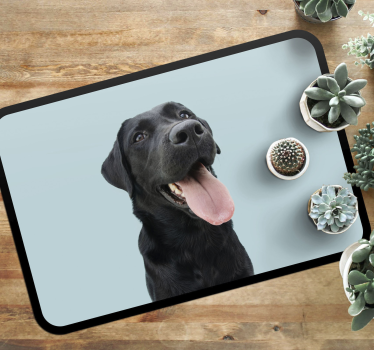 Le hund djur matta - Tenstickers