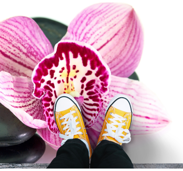 Rosa orkidéer närbild blommamatta - Tenstickers
